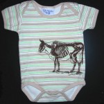 Cow skeleton Cow skeleton