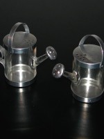 Watering can Salt & Pepper set