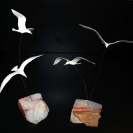 Seagulls anchored to stone
