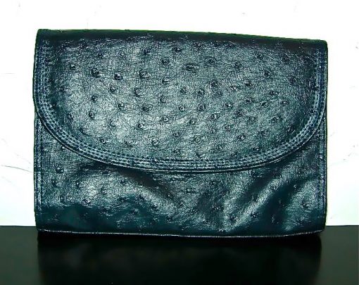 Bueno ostrich clutch