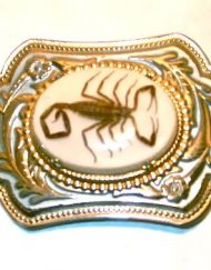 Vintage baby scorpion belt buckle